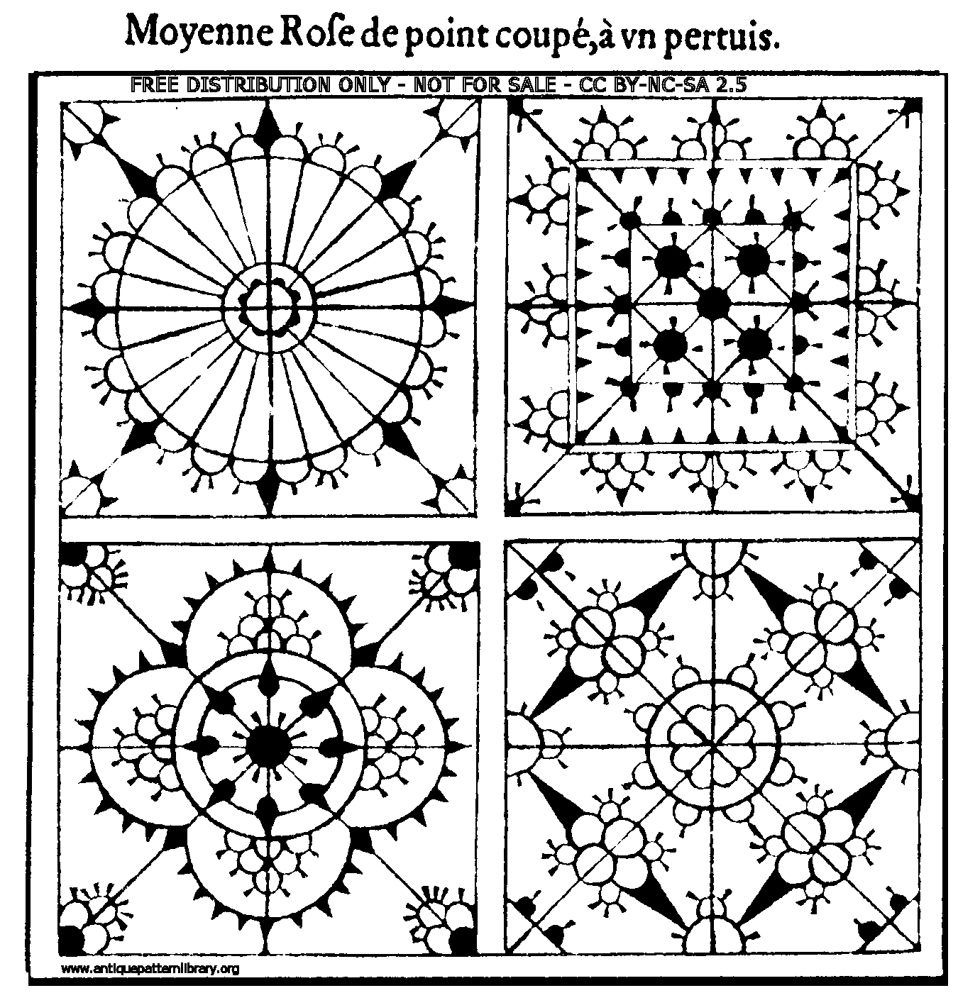 Moyenne Rose de point coupe, a un pertuis