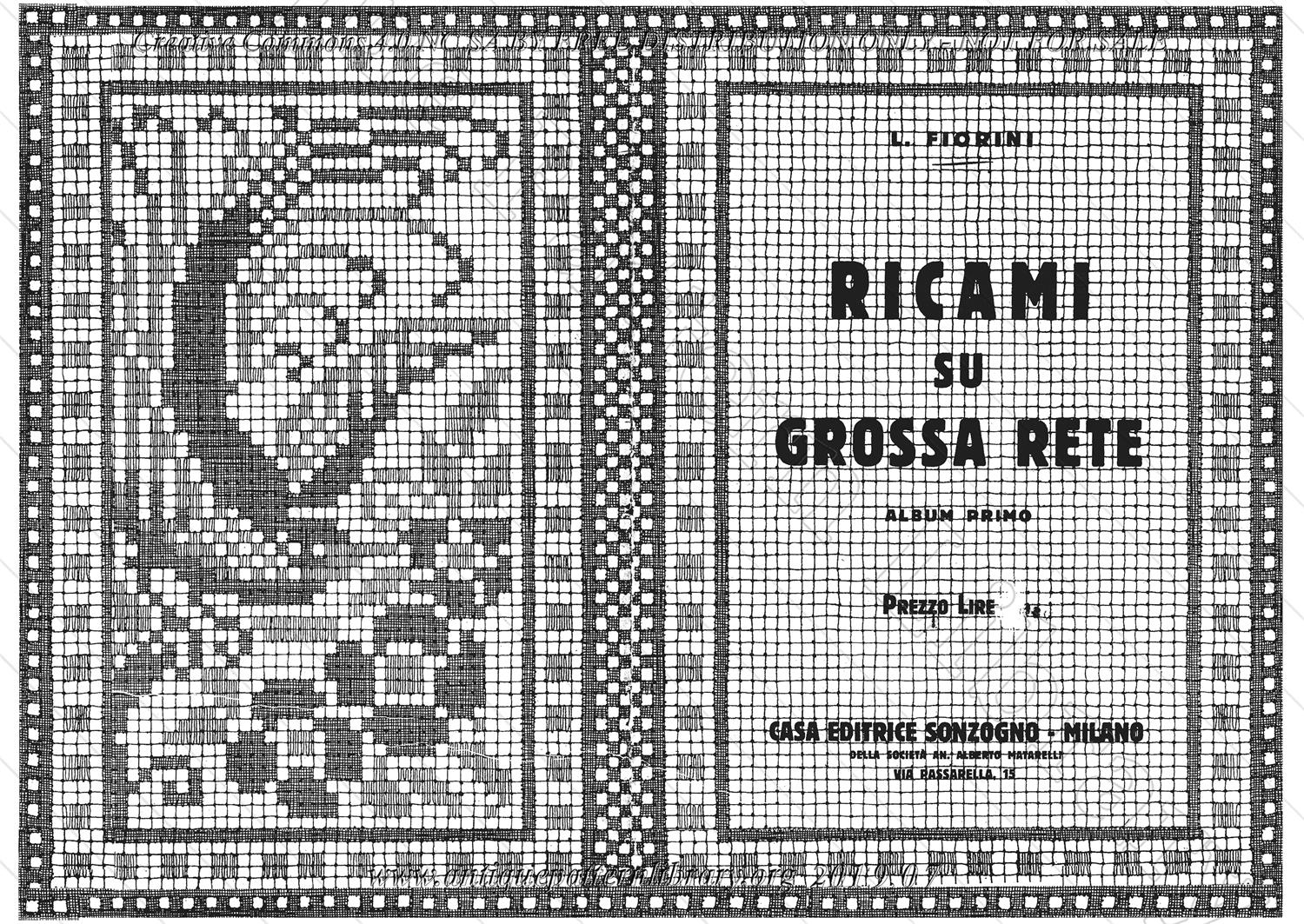 D-II007 Ricami su Grossa Rete 