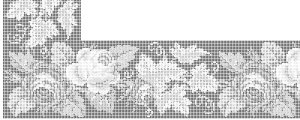 E-CR002