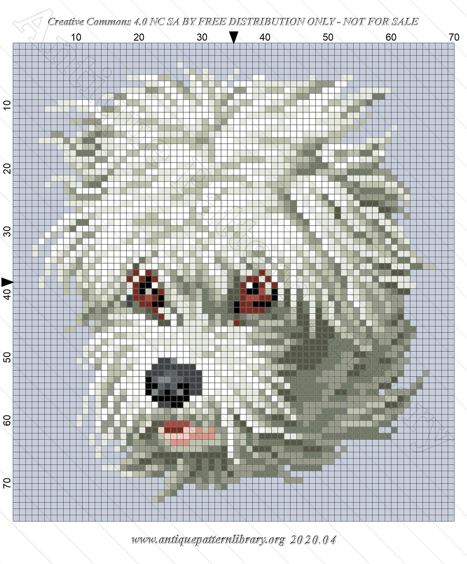 K-II002 Portrait of a shaggy dog