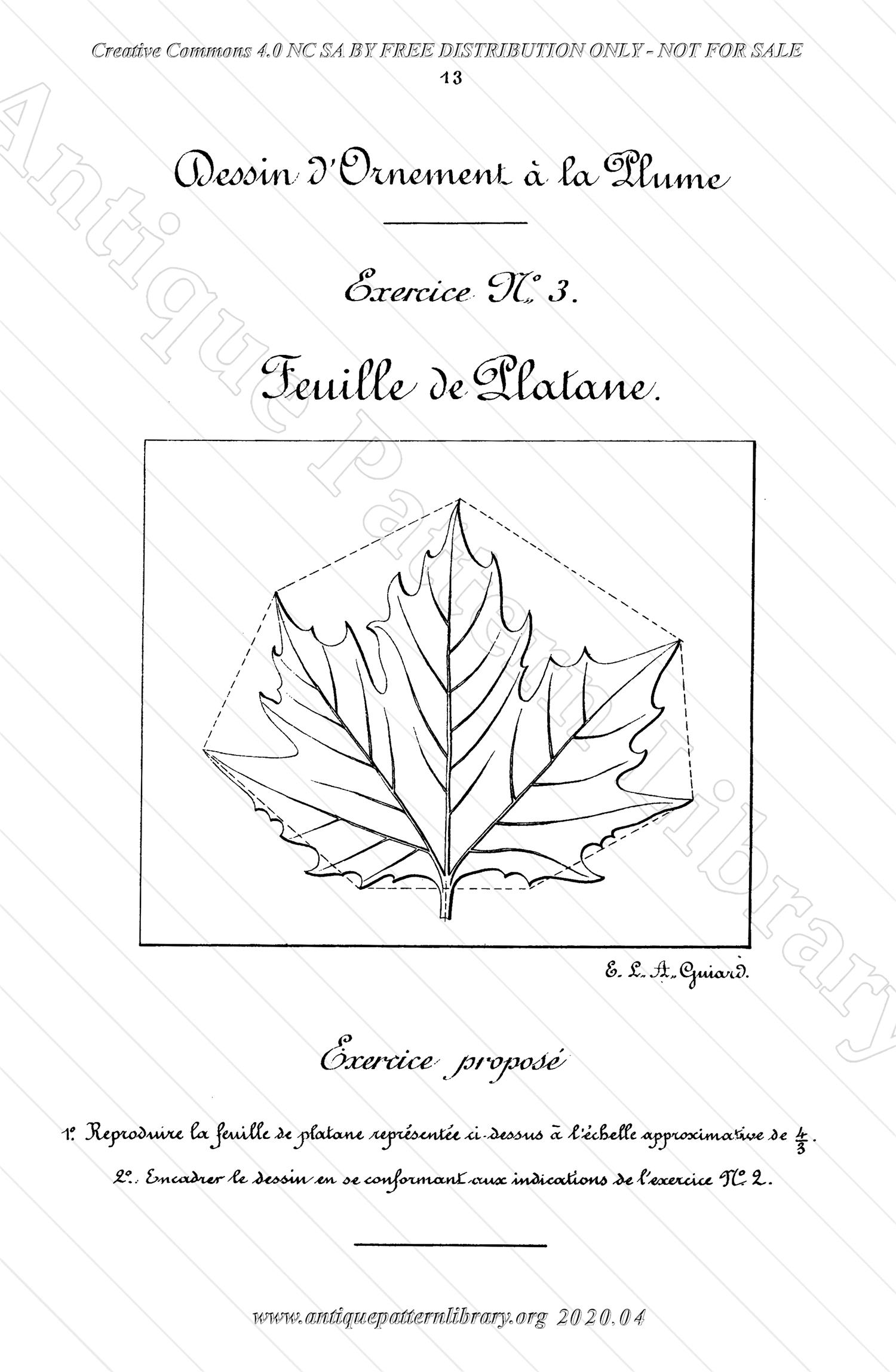 K-TT001 Dessin d'Ornement a la Plume