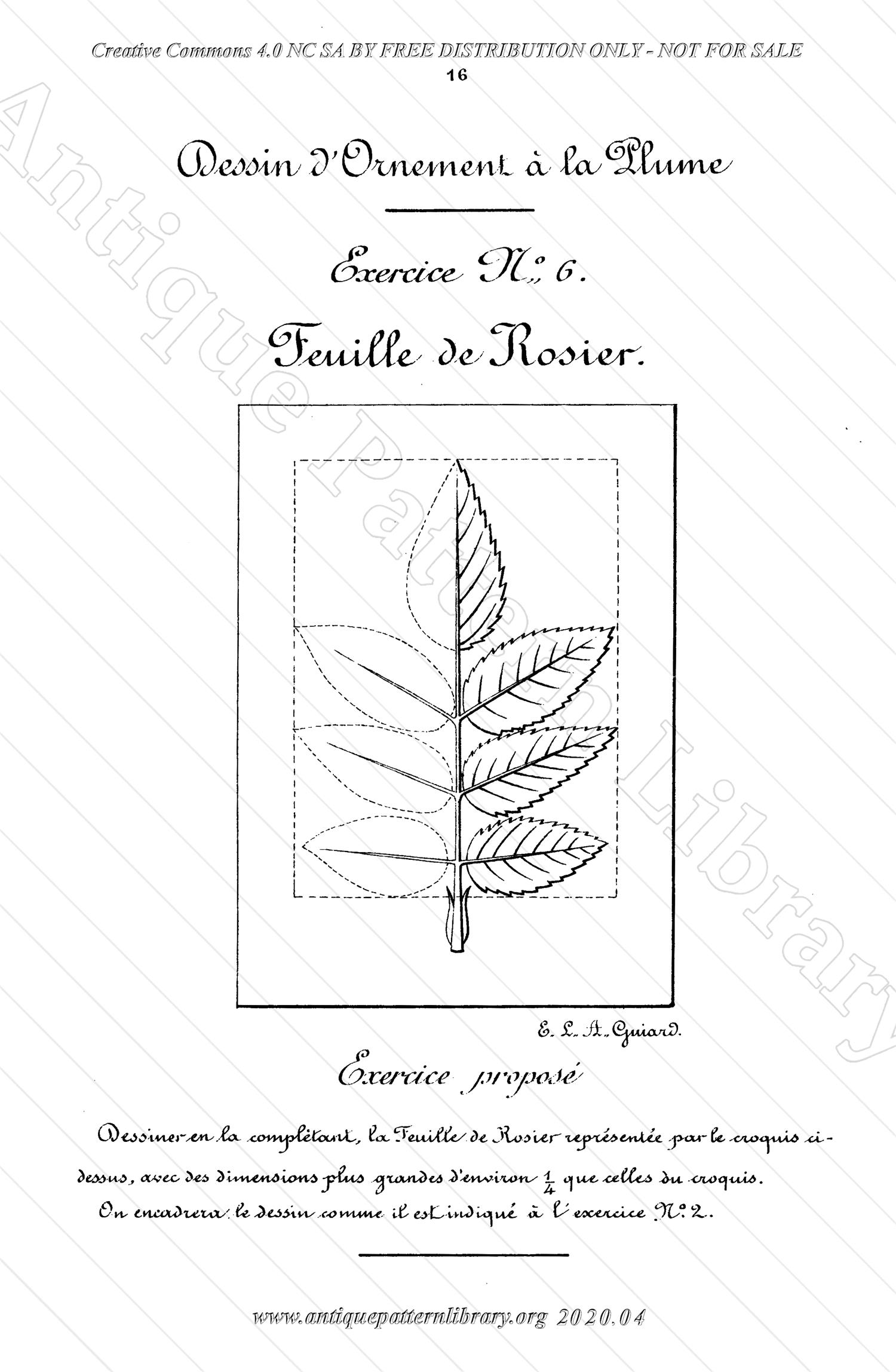 K-TT001 Dessin d'Ornement a la Plume