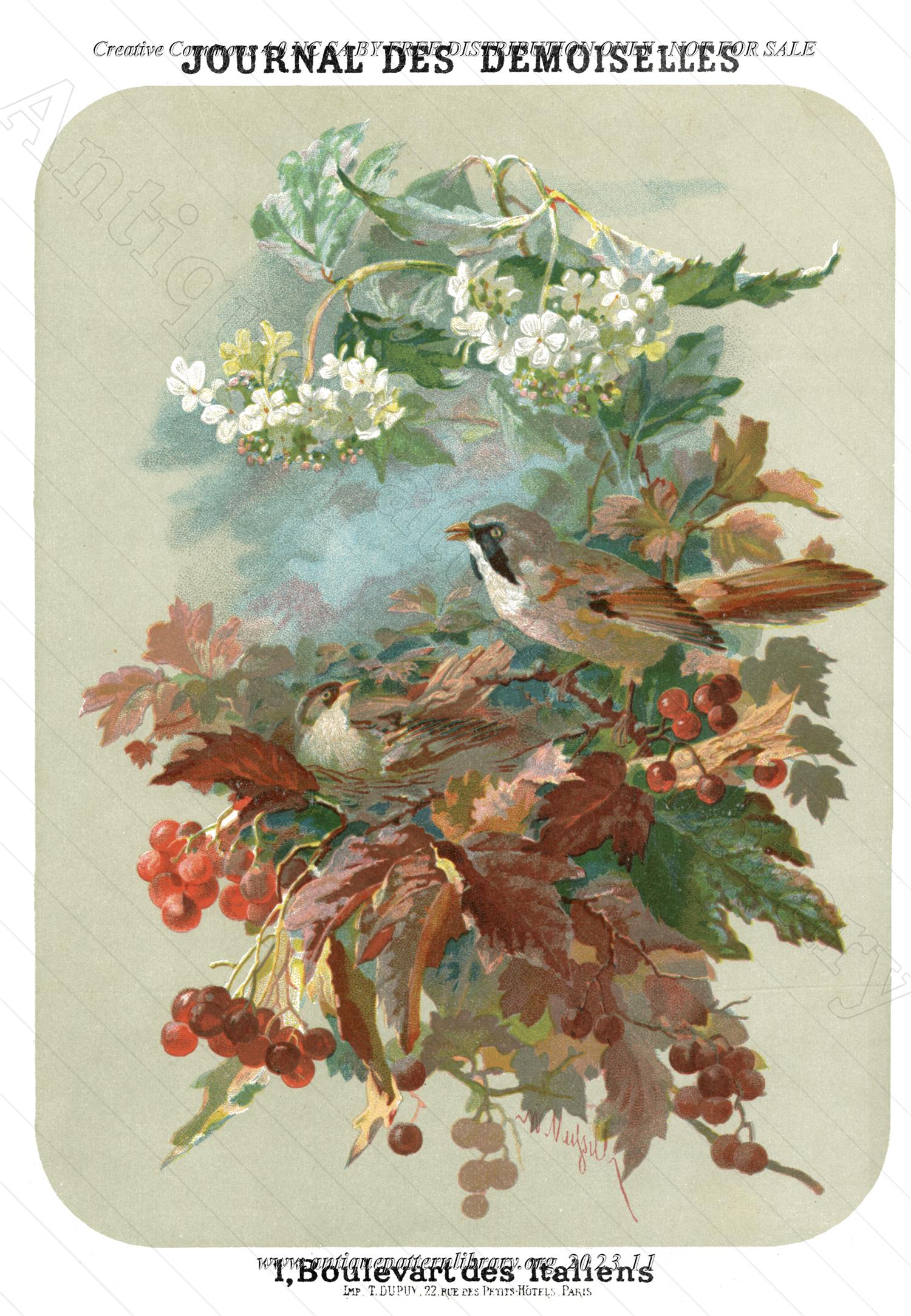 A-MH175 Illustration of birds, flowers, leaves and berries