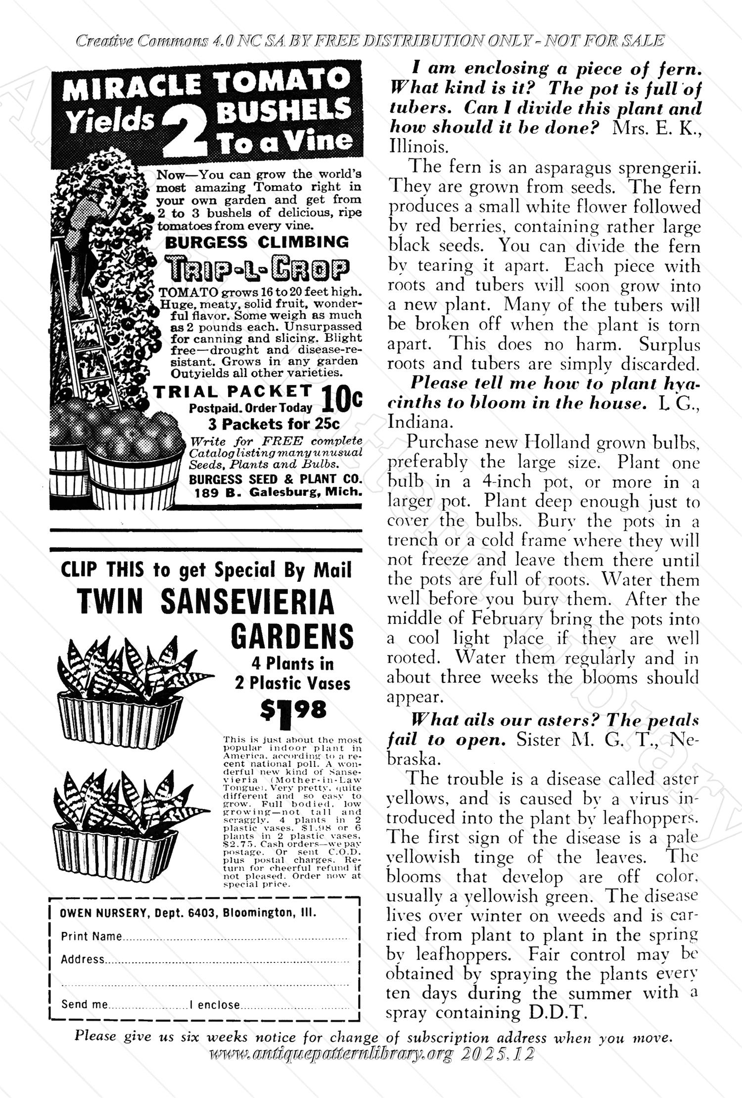 I-WB174 The Workbasket Volume 17 January 1952 No. 4