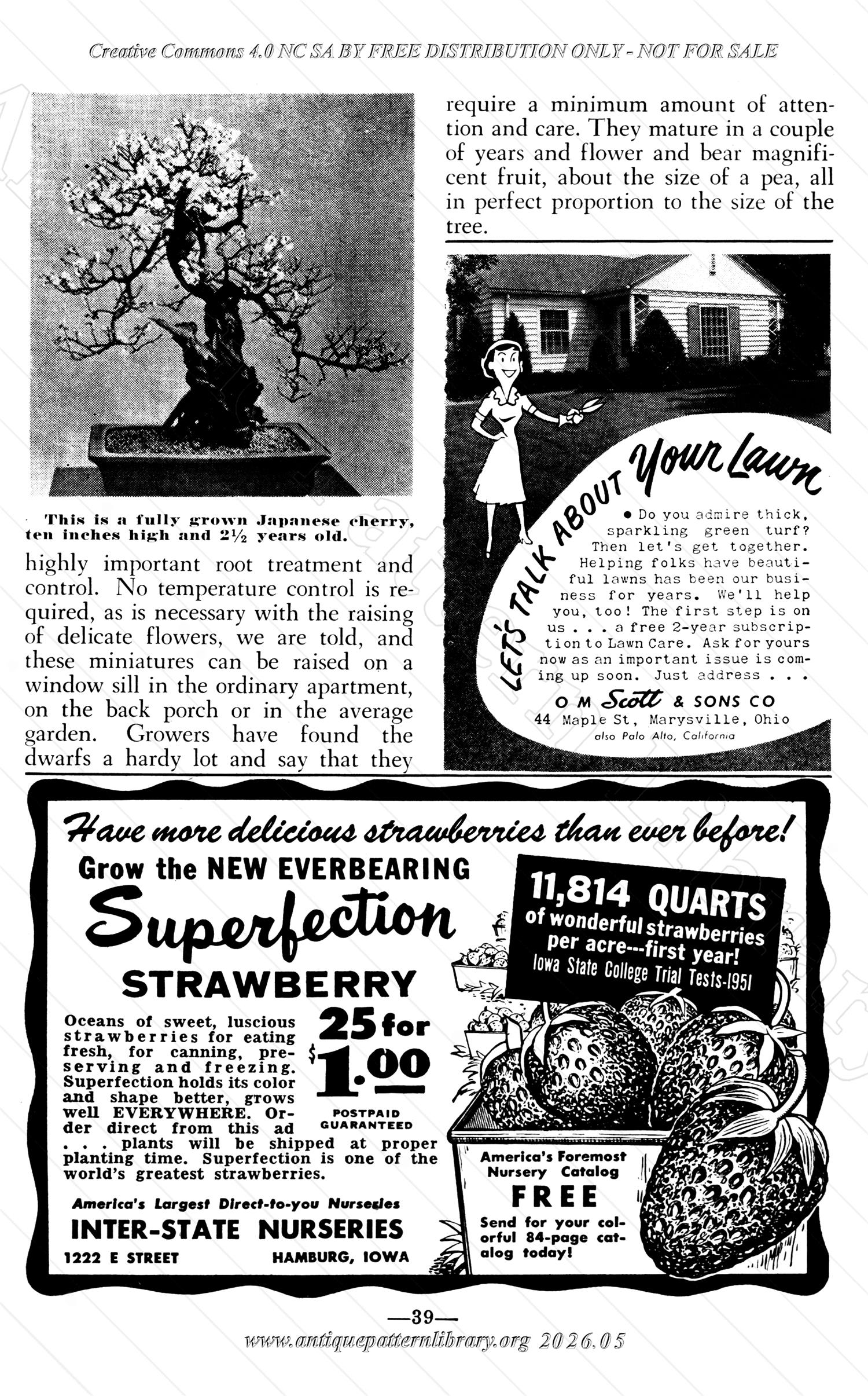 I-WB175 The Workbasket Volume 17 February 1952 No. 5