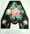 C-YS210 FloralSlipper C-YS210 FloralSlipper